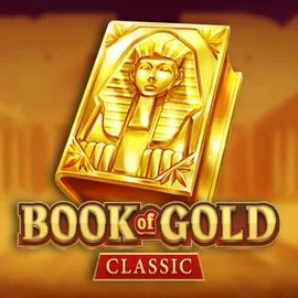 game logo by Playson on slotrizee.ro